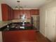 3711 N Kenneth Unit 220, Chicago, IL 60641