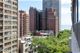 33 E Cedar Unit 10E, Chicago, IL 60611