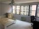 850 N Dewitt Unit 10H, Chicago, IL 60611