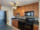 70 W Burton Unit 1005, Chicago, IL 60610