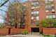 1169 S Plymouth Unit 501, Chicago, IL 60605