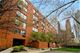 1169 S Plymouth Unit 501, Chicago, IL 60605