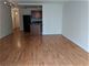 21 W Goethe Unit 10E, Chicago, IL 60610