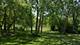390 S Middleton, Palatine, IL 60067