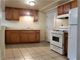 4125 S Ellis Unit 2, Chicago, IL 60653