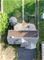 140 E Morrison, Mount Prospect, IL 60056