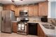 1488 Wyndham Cove, Schaumburg, IL 60173