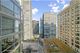 250 E Pearson Unit 1507, Chicago, IL 60611