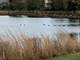 3735 Ryder, Naperville, IL 60564