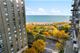 1000 N Lake Shore Unit 1402, Chicago, IL 60611