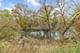 740 N Brainard, La Grange Park, IL 60526