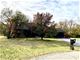 40540 N Dogwood, Antioch, IL 60002