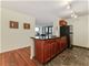 222 E Pearson Unit 1602, Chicago, IL 60611