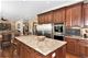 21209 Sage Brush, Mokena, IL 60448