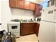 3161 N Cambridge Unit 208, Chicago, IL 60657