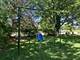 254 Hamilton, Frankfort, IL 60423