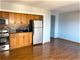 3100 N Lake Shore Unit 1213, Chicago, IL 60657