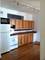 804 W Newport Unit 1, Chicago, IL 60657