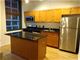 208 W Washington Unit 1113, Chicago, IL 60606