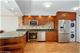 300 N State Unit 3233, Chicago, IL 60654