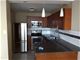 1460 N Sandburg Unit 1010, Chicago, IL 60610