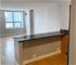 474 N Lake Shore Unit 2307, Chicago, IL 60611