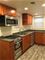 1032 W George Unit G, Chicago, IL 60657