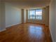 474 N Lake Shore Unit 5303, Chicago, IL 60611