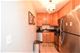 850 N Dewitt Unit 15F, Chicago, IL 60611