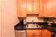 850 N Dewitt Unit 15F, Chicago, IL 60611