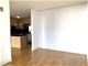 225 N Columbus Unit 6709, Chicago, IL 60601