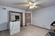 21555 W Chestnut, Plainfield, IL 60544