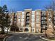 455 W Wood Unit 213, Palatine, IL 60067