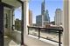 1255 S State Unit 1113, Chicago, IL 60605