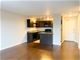 533 W Barry Unit 17K, Chicago, IL 60657