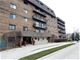 960 S River Unit 207, Des Plaines, IL 60016