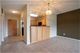 470 W Mahogany Unit 503, Palatine, IL 60067