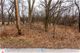 12203 S 88th, Palos Park, IL 60464