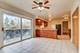 8S350 Palomino, Naperville, IL 60540