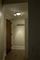 400 N La Salle Unit 4507, Chicago, IL 60654