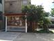 6733 W 31st, Berwyn, IL 60402