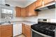 2313 Central Unit 2, Evanston, IL 60201