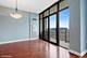 233 E 13th Unit 1007, Chicago, IL 60605