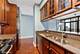 233 E 13th Unit 1007, Chicago, IL 60605