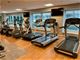 57 E Delaware Unit 3002, Chicago, IL 60611