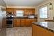 389 Dover, Des Plaines, IL 60018