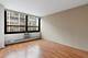 33 E Cedar Unit 17F, Chicago, IL 60611