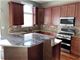 245 W Wood Unit 67E, Palatine, IL 60067