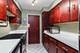 1101 Grove Unit 8A, Evanston, IL 60201