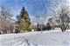 39 E Birchwood, Hinsdale, IL 60521